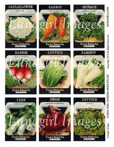 vintage seed packets